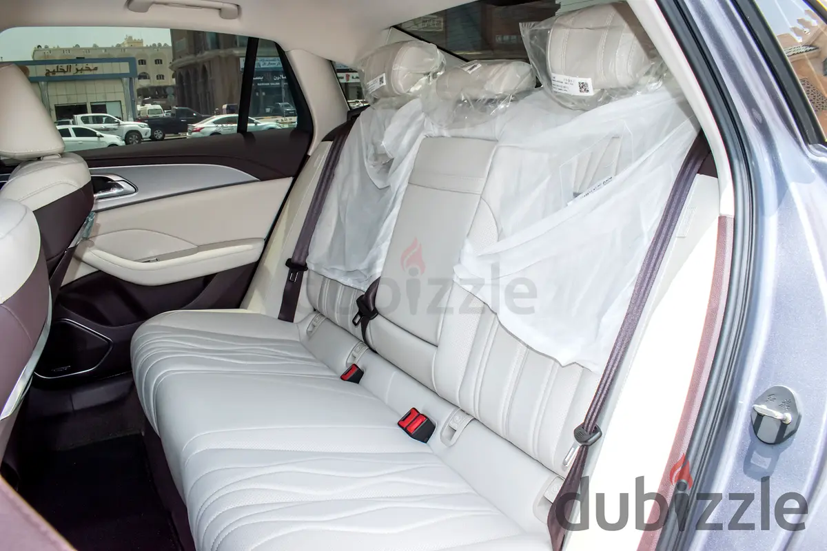 2025 Hongqi Ousado Rental in Port Saeed photo 7