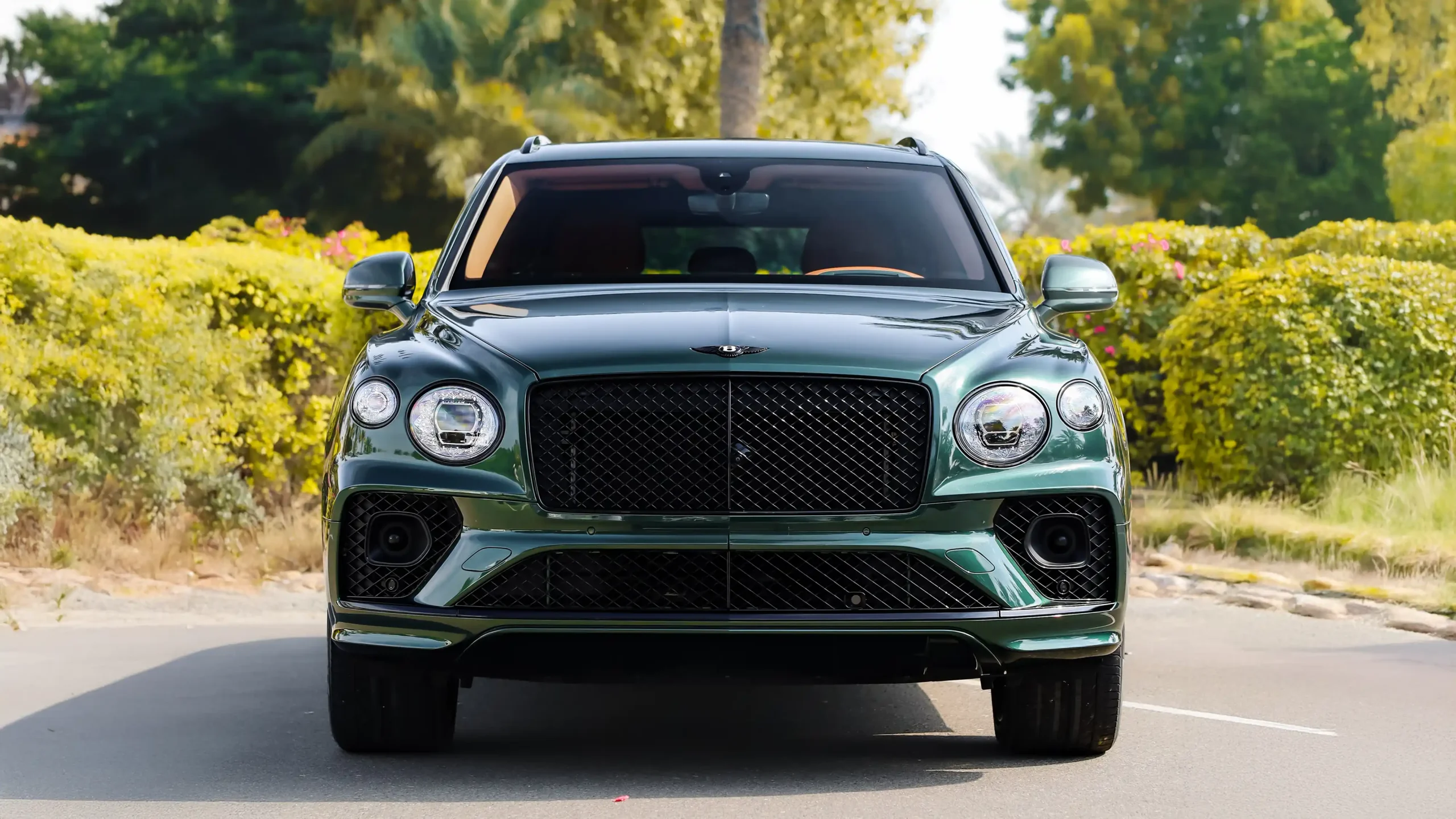 Bentley Bentayga Green for Rent in Dubai photo 3