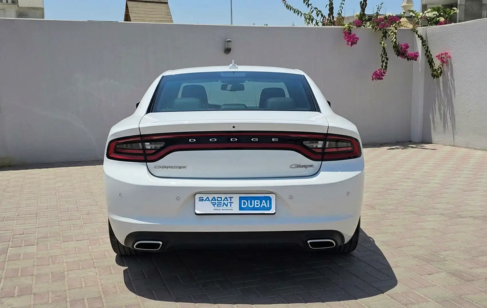 Rent a Dodge Charger White in Dubai photo 4