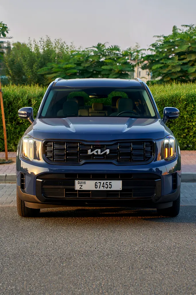 2025 Kia Telluride for Rent in The Old Town Island photo 2