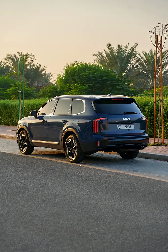 2025 Kia Telluride for Rent in The Old Town Island photo 3
