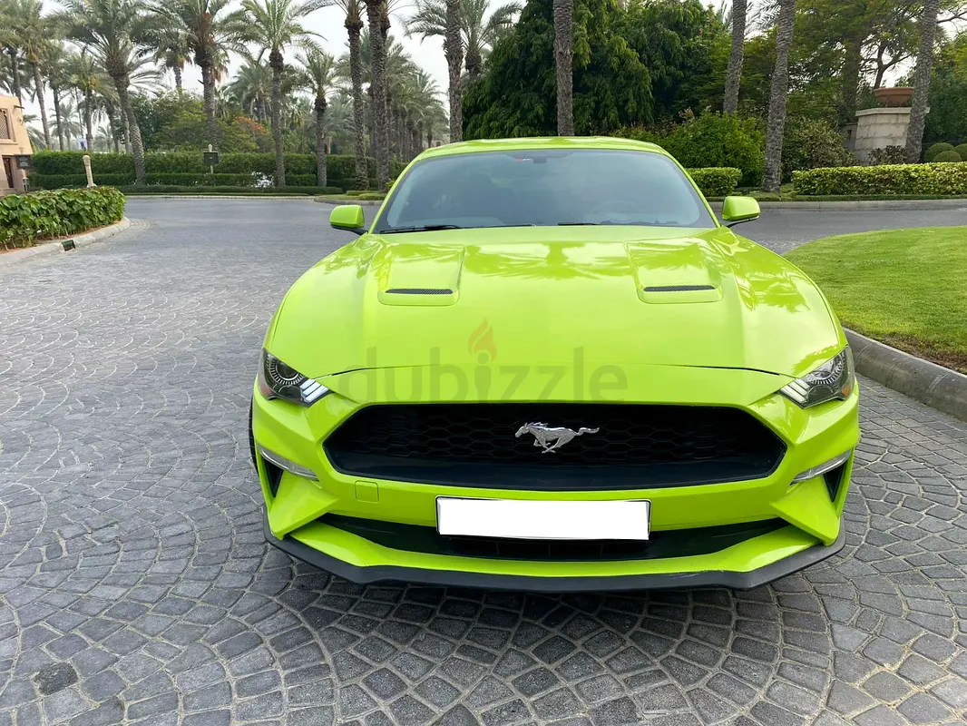 Rent a 2020 Ford Mustang in Al Jaddaf — Rent Online with Drivaza photo 5